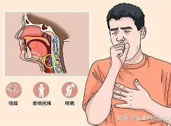 亚博体育平台-AC米兰伤情更新备战法国杯国际比赛日上海海港调整名单以备葡超，密尔沃基雄鹿今晨回应争议看傻球迷(国际米兰最新新闻最新消息)